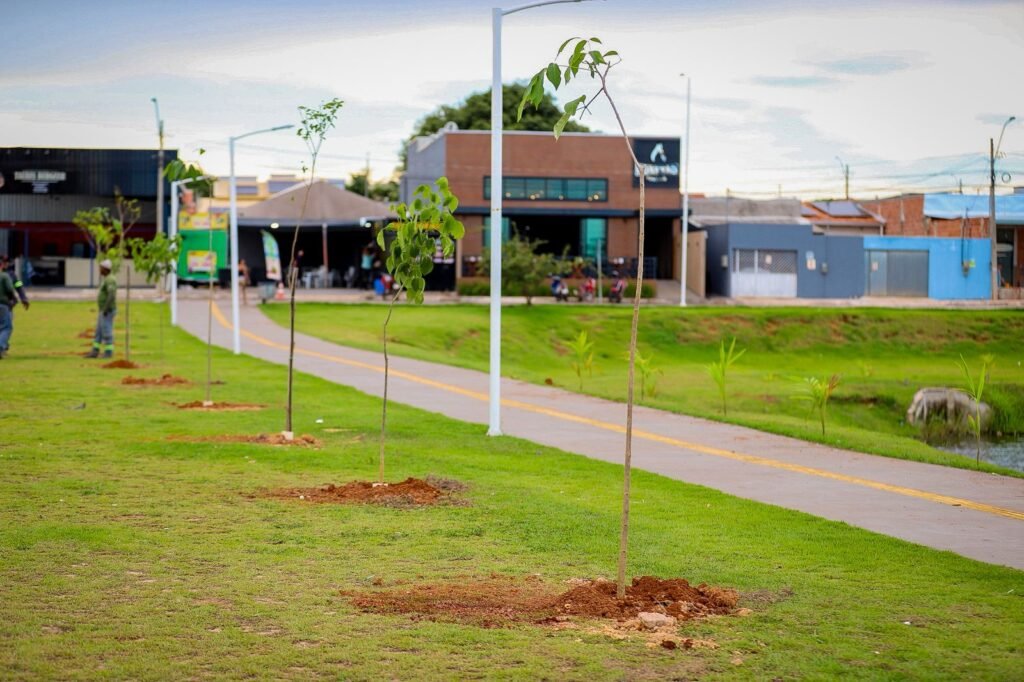 Canaã acelera plantio e transforma meta ambiental em realidade