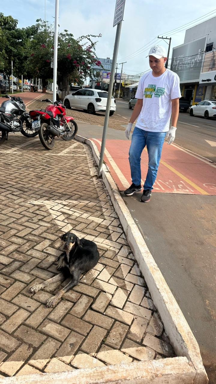 Na manhã desta sexta-feira (20), uma equipe do Centro de Zoonoses esteve na Avenida Weyne Cavalcante e realizou a captura do animal errante